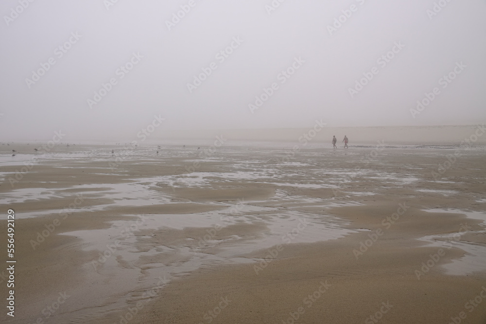 Sea beach in the morning mist Sea beach in the morning mist