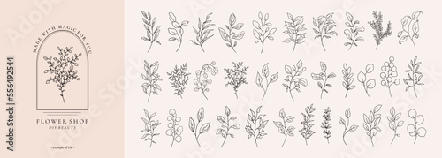 Set of floral line art branch, leaf, plants for logo template, invitation save the date card. Botanic outline pencil sketch leaves isolated on white. Hand drawn wedding branches vector illustration