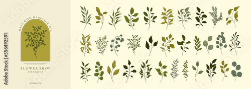 Set of greenery vintage floral branch, leaf, plants for logo template, invitation save the date card. Botanic twigs, leaves isolated on white. Hand drawn wedding branches trendy vector illustration