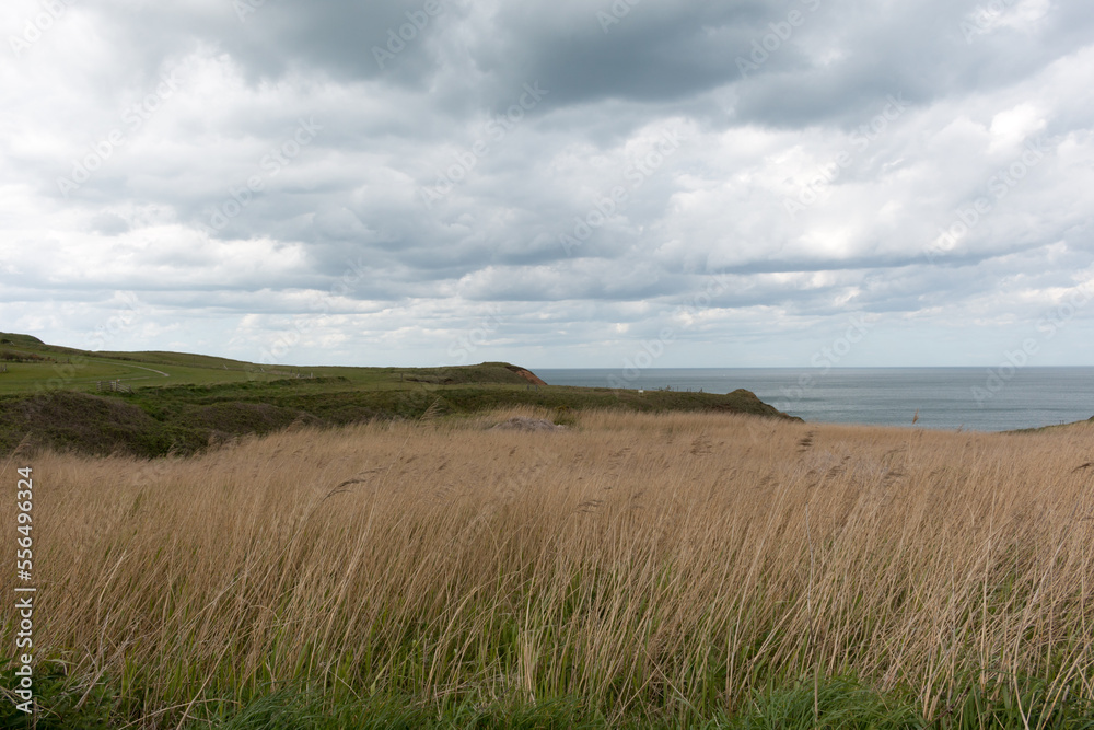 Thornwick Bay Coastline