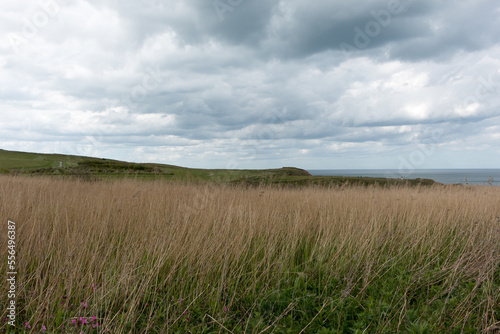 Thornwick Bay Coastline