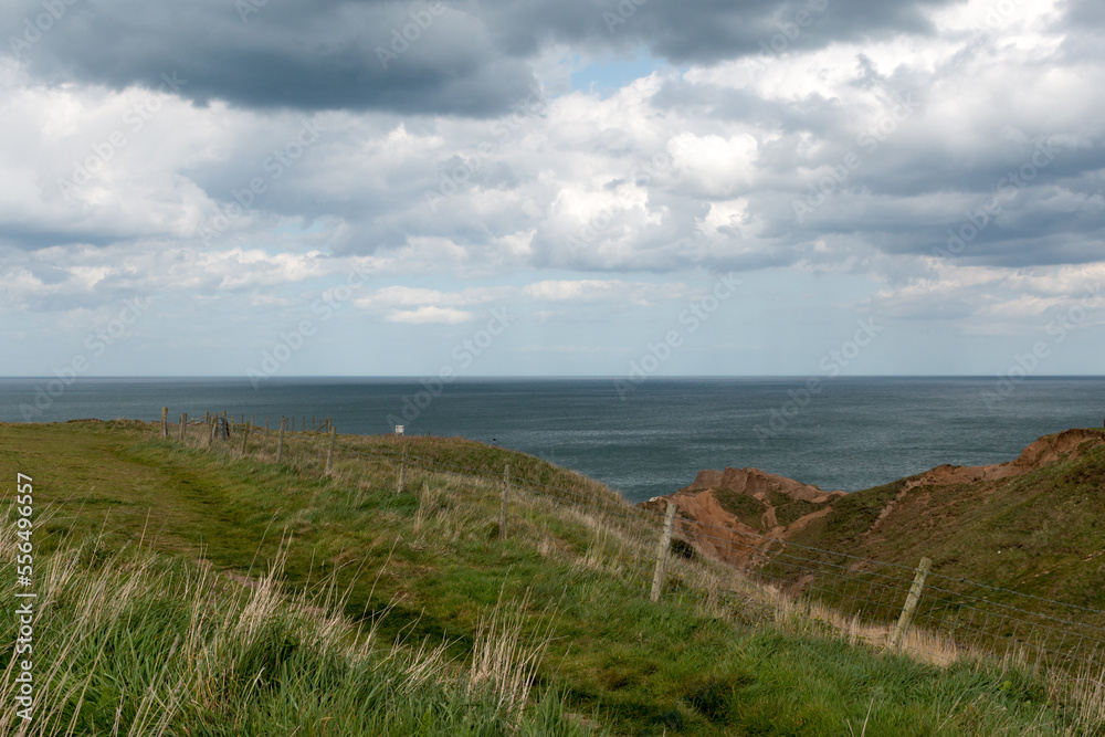 Thornwick Bay Coastline