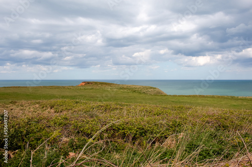 Thornwick Bay Coastline