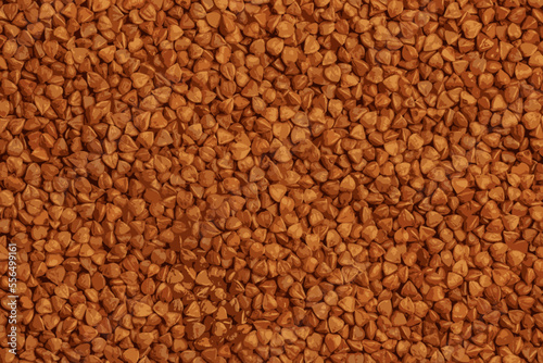 Realistic vector illustration of buckwheat groats texture background. Organic raw dry buckwheat grains background 