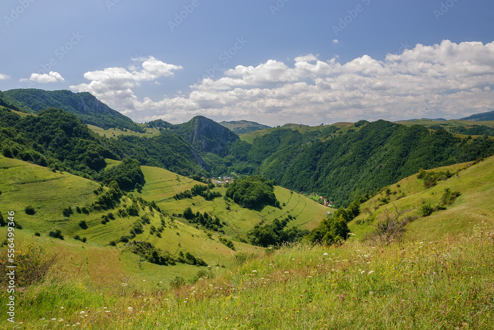 Naklejka premium Idyllic landscape in the Alps with fresh green meadows and blooming flowers and mountain covered with trees in the background. Beautiful alpine summer view. Grassy field, rolling hills. Rural scenery
