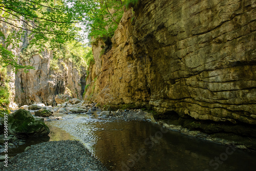 A mountain stream flowing through a canyon narrowed by vertical stone walls. The sharp  rocky cliffs of Ramet Gorges or Cheile Rametului   Romania  during summer season in a sunny day. Natural tunnel