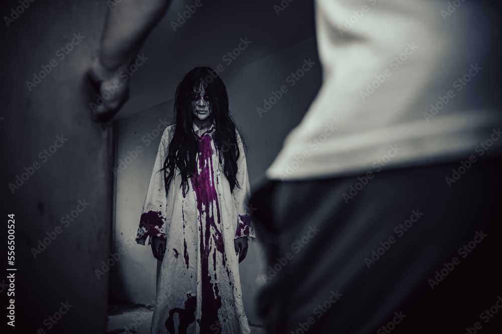 Portrait of asian woman make up ghost,Scary horror scene for background,Halloween festival concept,Ghost movies poster,The souls of the murderous lovers