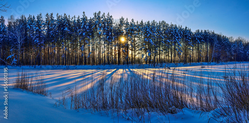 Magical fairy tale of frosty winter landscape on shore of snow-covered pond at sunset