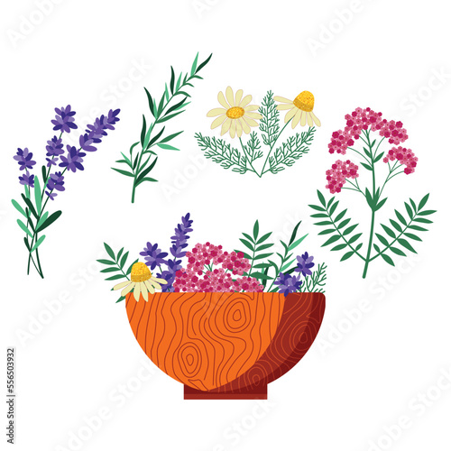 Homeopathic Plants Wooden Bowl with Herbs