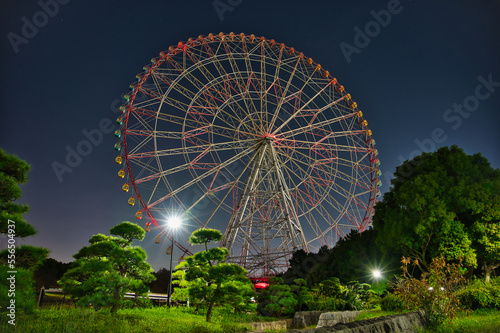 Night view of Kasai Seaside Park, Ferris wheel of the moonlight, Tokyo, Japan 
