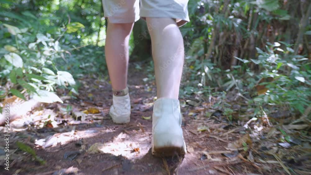 Close Up Of Male Hiker'S Legs Hiking In The Forest
Close Up Of Male Hiker'S Legs Hiking In The Forest