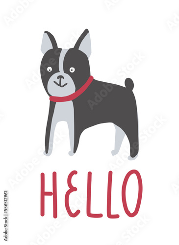 Pug dog with red collar on white background. greetings Hello. Isolated print with friendly black dog. Adorable animal for Kid's T-shirt. 