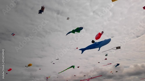 Wind and kite festival in Porspoder photo