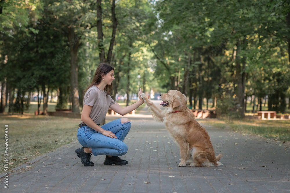 Young beautiful dark-haired girl in a summer park with a golden retriever.