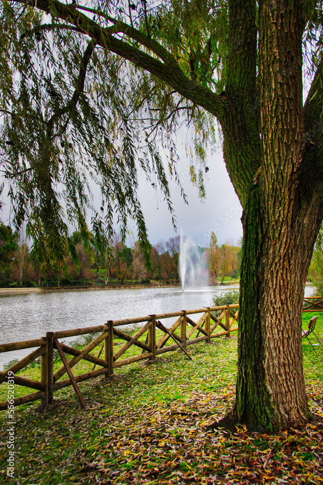 Autumn landscape of a lake bordered by a wooden fence and a jet of water in the center.