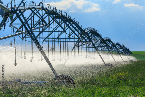 Irrigation Sprinklers, Southern Alberta