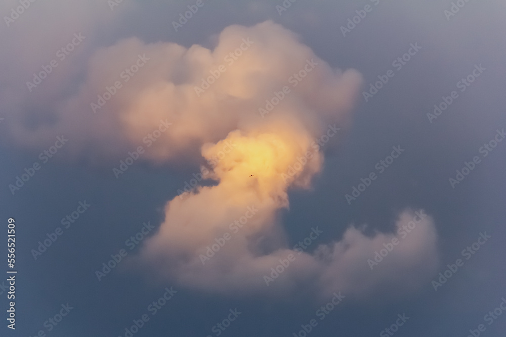 A sunset cloud with a bird in the center. Cloud close up