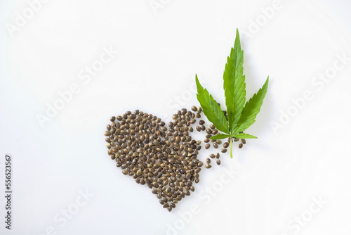 hemp seeds cannabis heart © Elroi