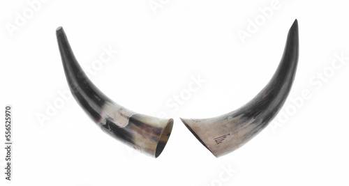 bull horn for wine isolated on white background