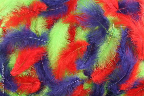 Background - small yellow  red  green and blue plumes situated irregularly