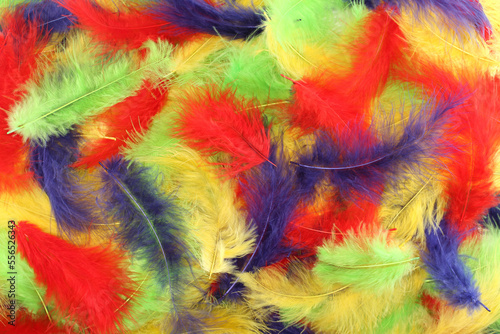 Background - small yellow  red  green and blue plumes situated irregularly