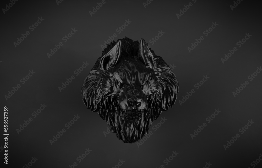 Fototapeta premium wolf werewolf on a black background