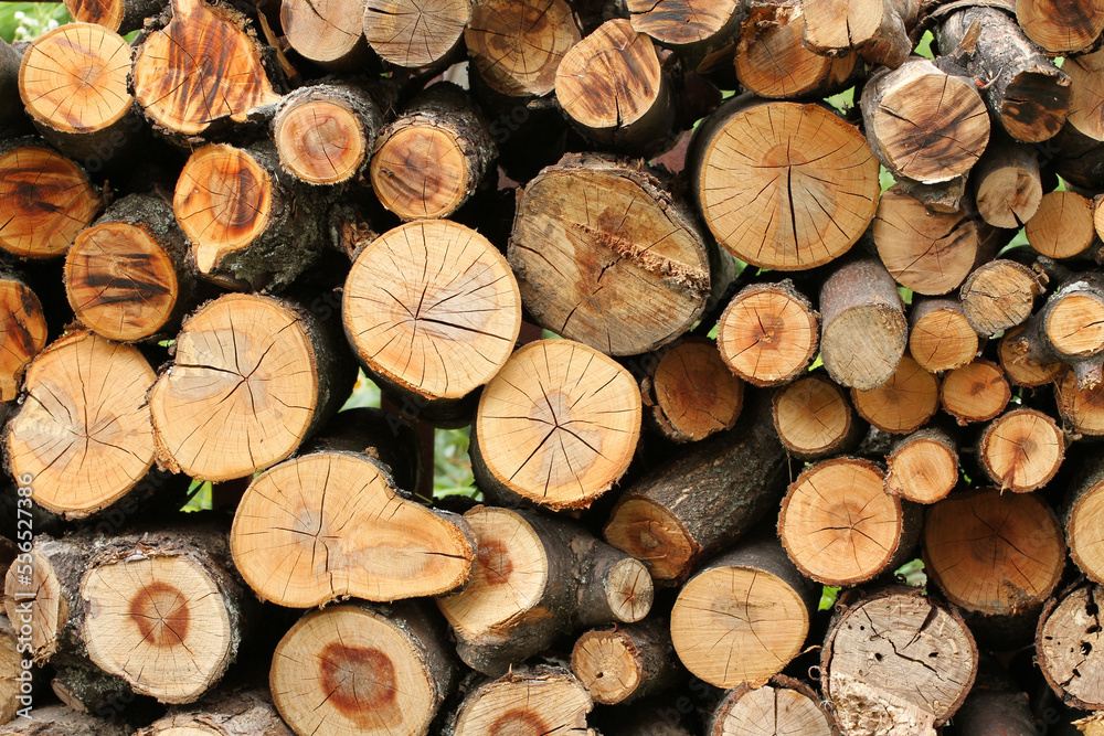 Cross sections of fire wood. Stack. Closeup Cross sections of fire wood. Stack. Closeup