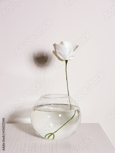 White artificial tulip in transparent round flask with water