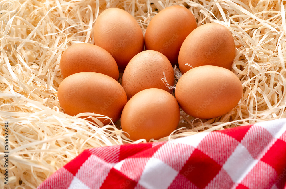 Fresh chicken eggs in a nest next to a checkered napkin Fresh chicken eggs in a nest next to a checkered napkin