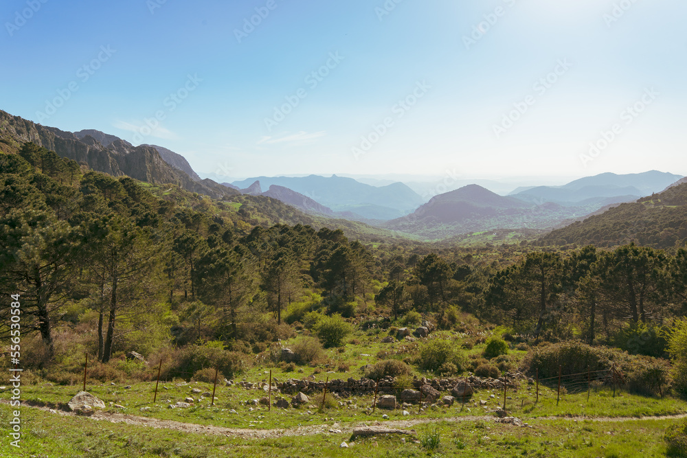 Ταπετσαρία Landscape in the mountains in Andalusia, Spain
