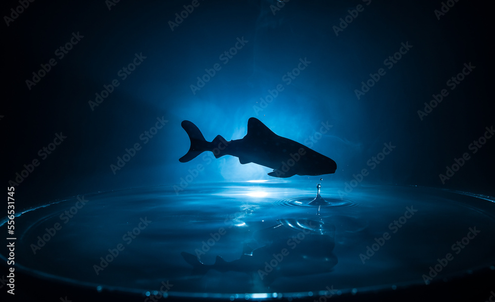 Fototapeta premium Fish in Aquarium. Water splash on dark foggy background. Selective focus.