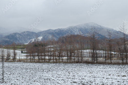 View of a snowy landscape in Kiyosato. Hokkaido. Japan. © Víctor