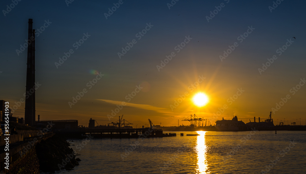 sunset in the harbor