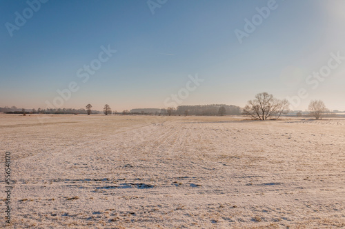 Wallpaper Mural Winter landscape in snow in Poland in Central Europe Torontodigital.ca
