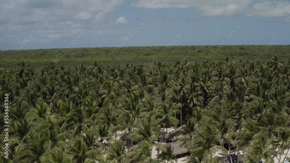Aerial drone shot of tropical paradise Saona Island at Dominican Republic
Aerial drone shot of tropical paradise Saona Island at Dominican Republic