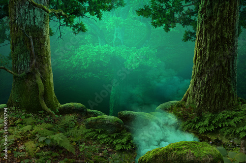 Cuadro en lienzo Green misty hazy fantasy forest