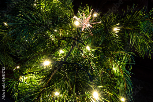 Illuminated Christmas tree with decoration
