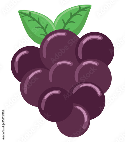 grape fruit icon
