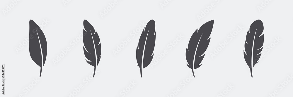 Vector Fluffy Feather Silhouette Icon Set Isolated. Design Template of Flamingo, Angel, Bird Feathers. Lightness, Freedom Concept Vector Fluffy Feather Silhouette Icon Set Isolated. Design Template of Flamingo, Angel, Bird Feathers. Lightness, Freedom Concept