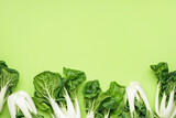 Fresh pak choi cabbages on green background