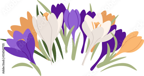 Bouquet with crocus and narcissus flat icon