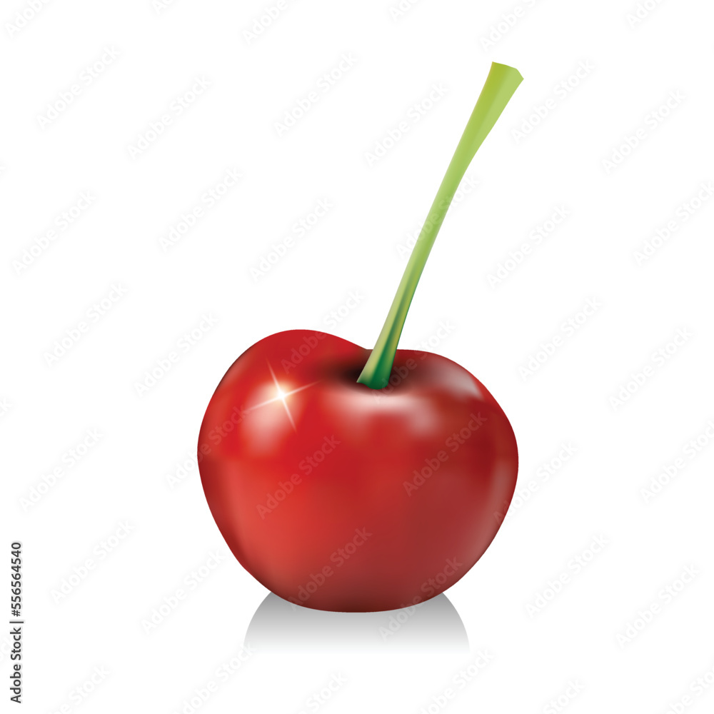 Fresh cherry vector illustration isolated on white