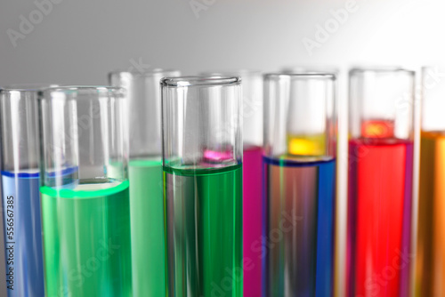 Many test tubes with colorful liquids on grey background, closeup