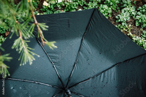 Black wet umbrella, with small water droplets from inside, umbrella spokes. Bad weather forecast, fall or spring season storm storming. Accessory for protection on a rainy day from waterproof material