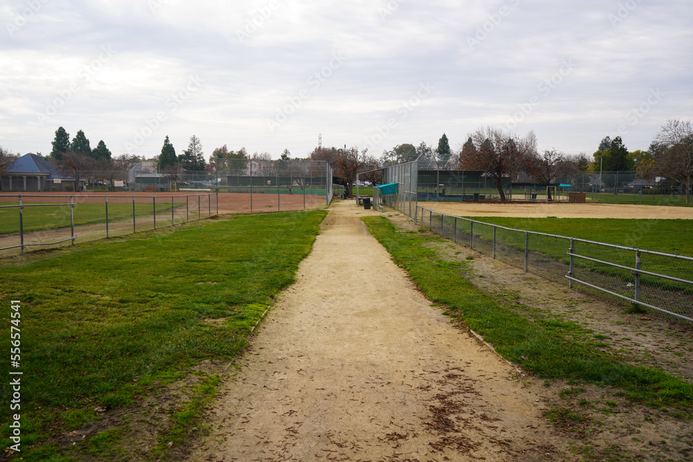 Fototapeta premium Park