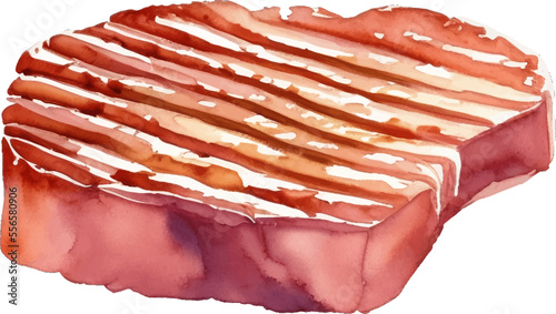 grilled steak meat hand drawn with watercolor painting style illustration