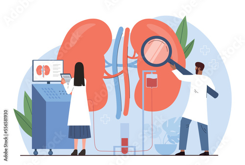 Doctors with kidneys. Man and young girl with magnifying glass doing research in laboratory. Health care and treatment of patients. Poster or banner for website. Cartoon flat vector illustration