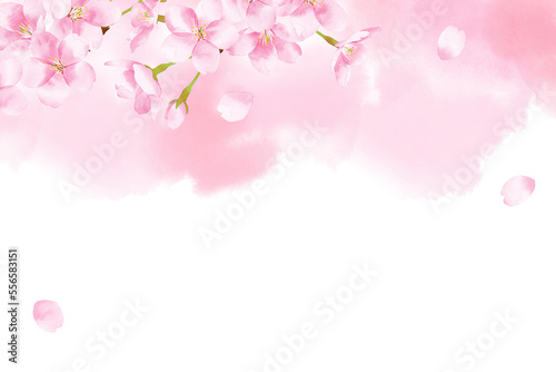 桜の水彩風イラスト 背景素材 水彩にじみ