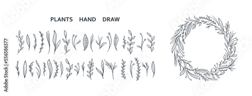 Valokuva set collection plants leave hand draw vector