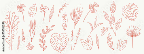 set collection plants leave hand drawn vector. Drawing beautiful creeper leaves, decorative color set